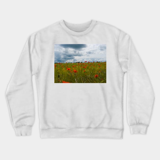 Poppy Field Crewneck Sweatshirt by Nigdaw